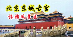骚穴淫荡动态图自慰中国北京-东城古宫旅游风景区